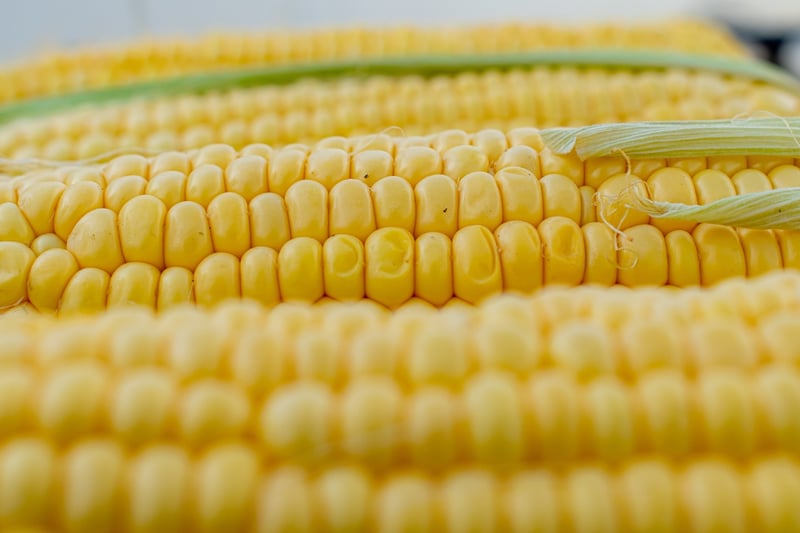 Grilled Corn on the Cob